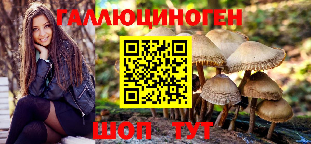 Галлюциногенные грибы Psilocybe Ливны